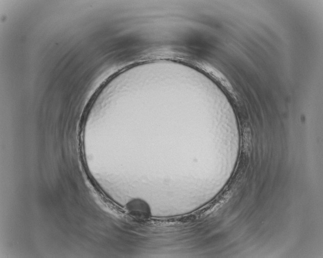 X0000078261039200611251323