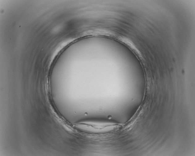 X0000078261040200611251323