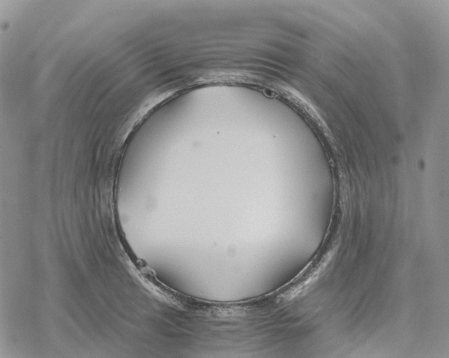 X0000078261041200611251323