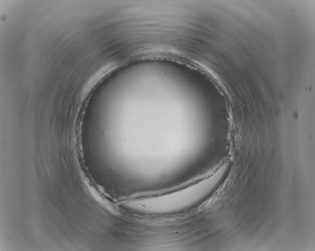 X0000078261042200611251323