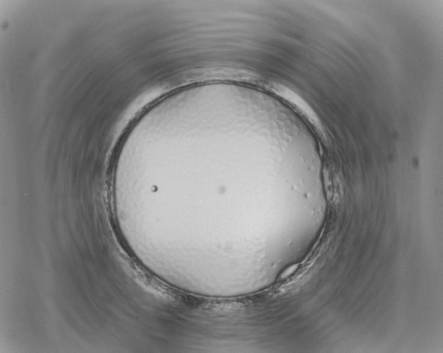 X0000078261043200611251323