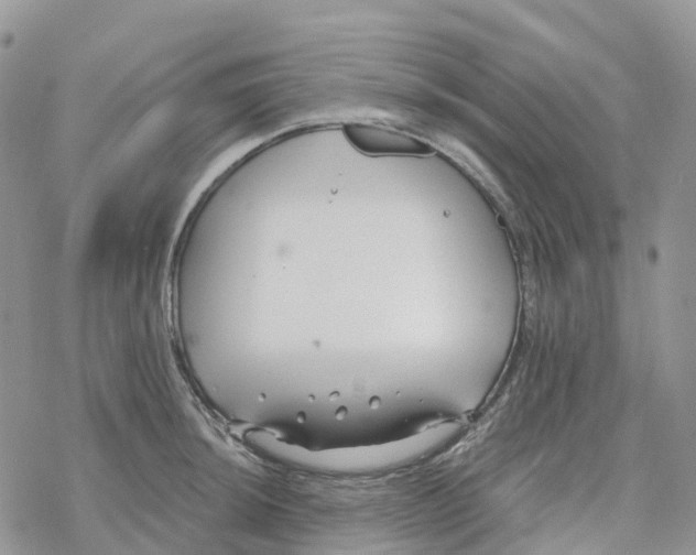 X0000078261044200611251323