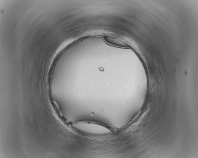 X0000078261045200611251324