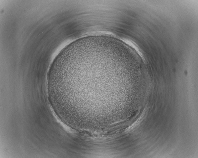 X0000078261046200611251324