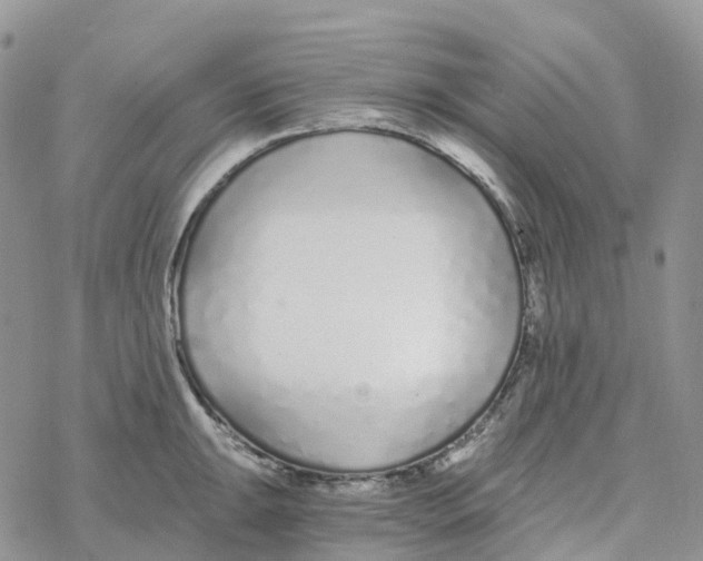 X0000078261047200611251324