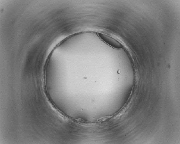 X0000078261048200611251324