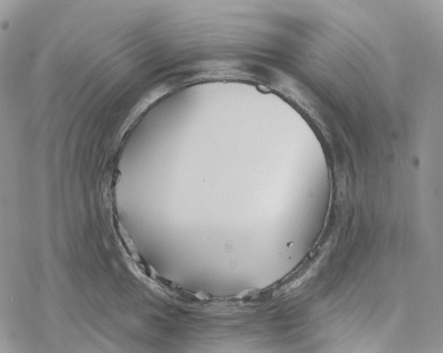 X0000078261049200611251324