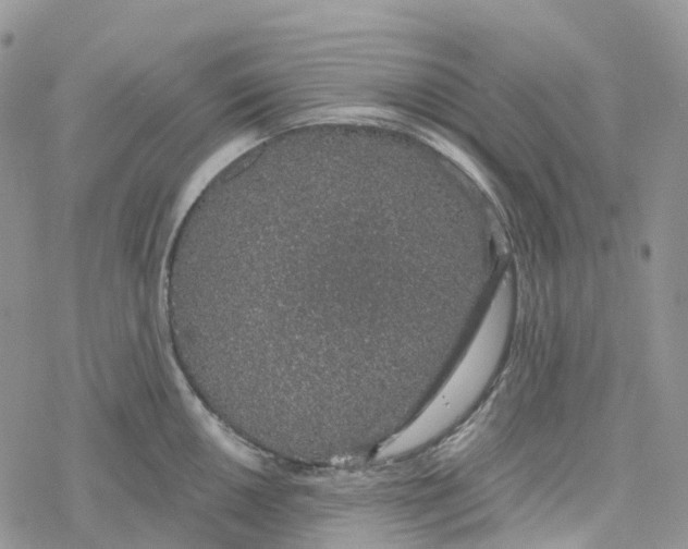 X0000078261050200611251324