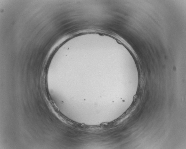 X0000078261053200611251324