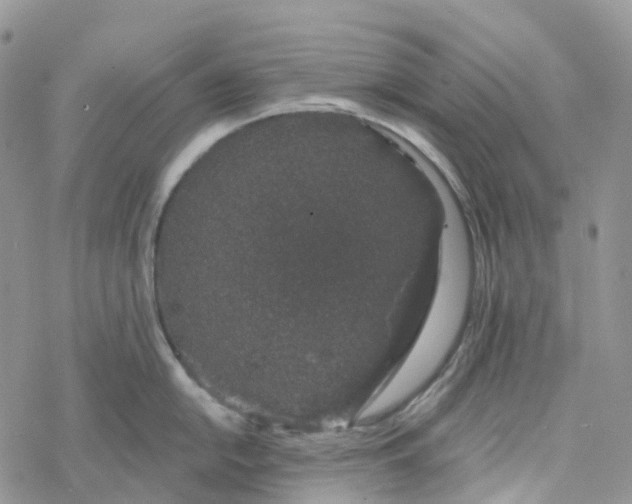 X0000078261054200611251324