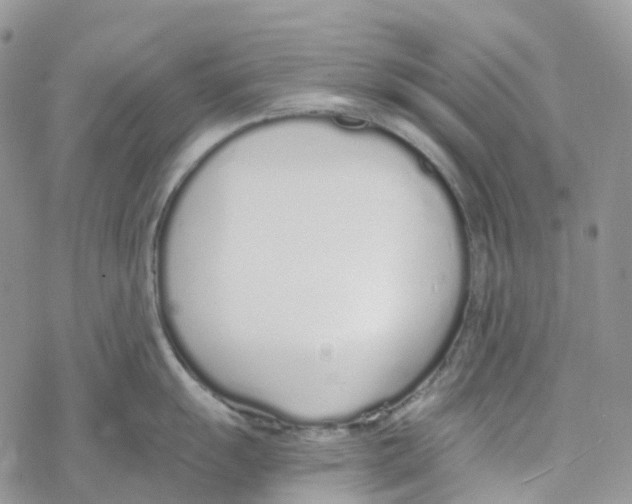 X0000078261055200611251324