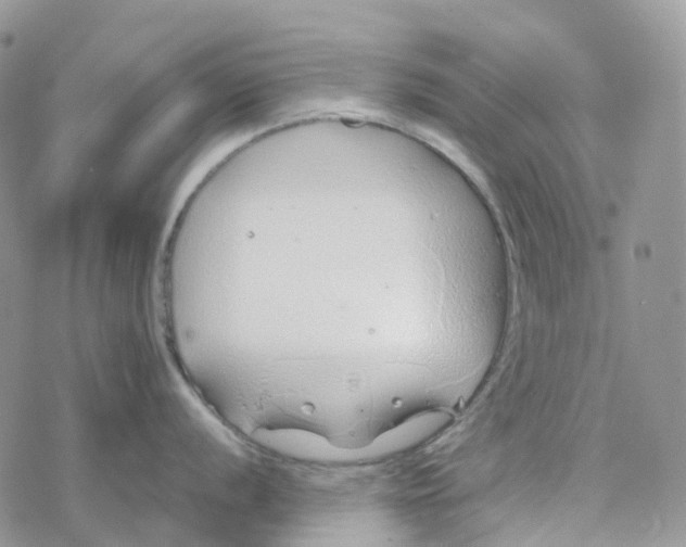 X0000078261056200611251324