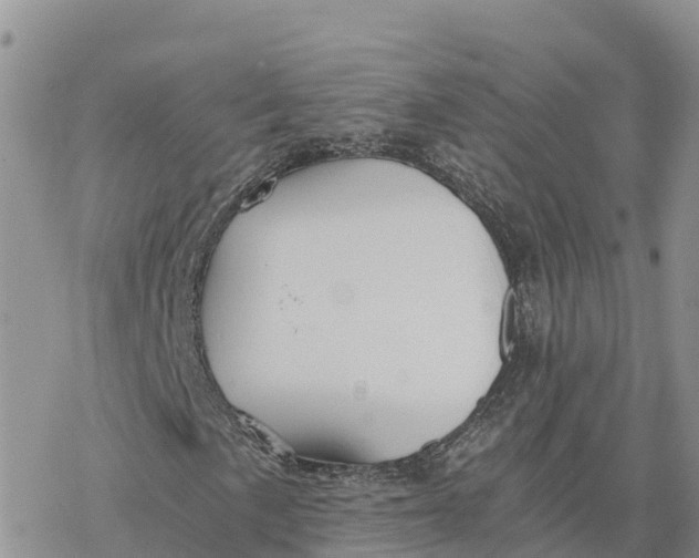 X0000078261057200611251323