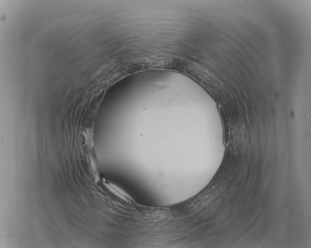 X0000078261058200611251323