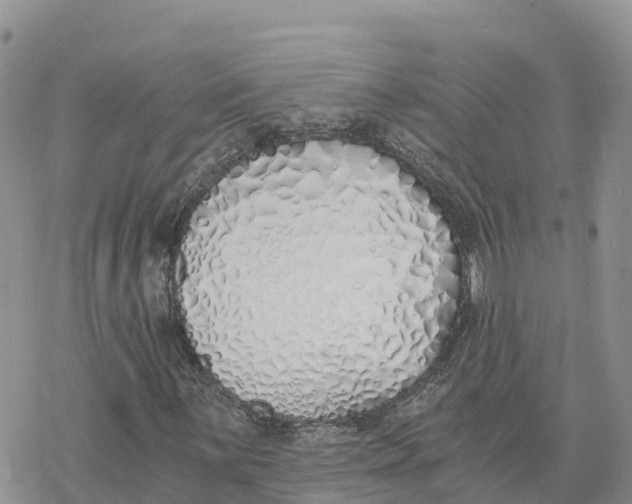 X0000078261059200611251323