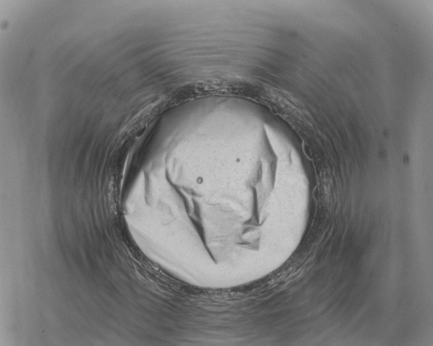 X0000078261060200611251323