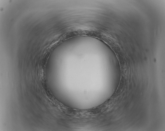 X0000078261061200611251323