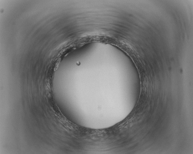 X0000078261062200611251323