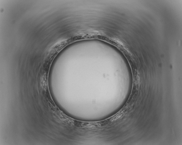 X0000078261063200611251323