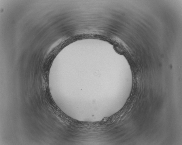 X0000078261064200611251323