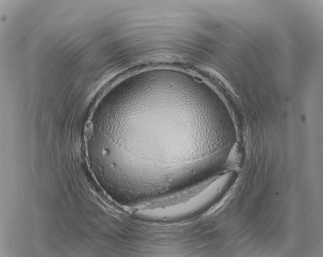 X0000078261065200611251323