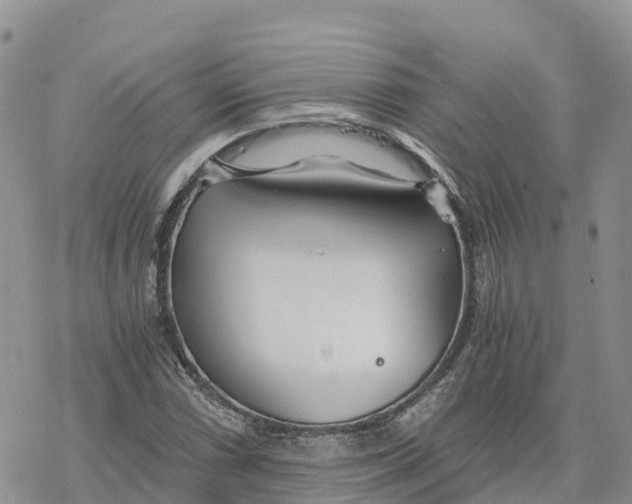 X0000078261066200611251323