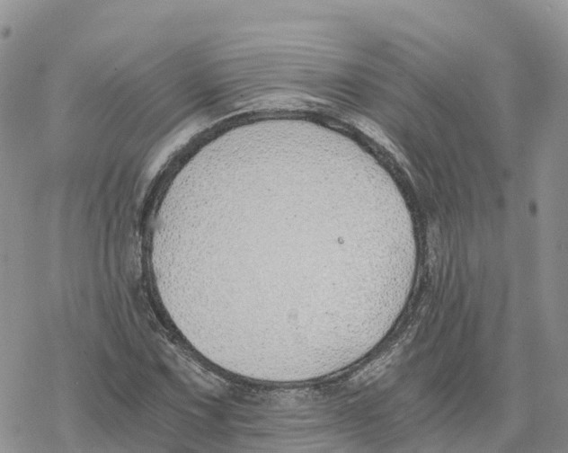 X0000078261067200611251323