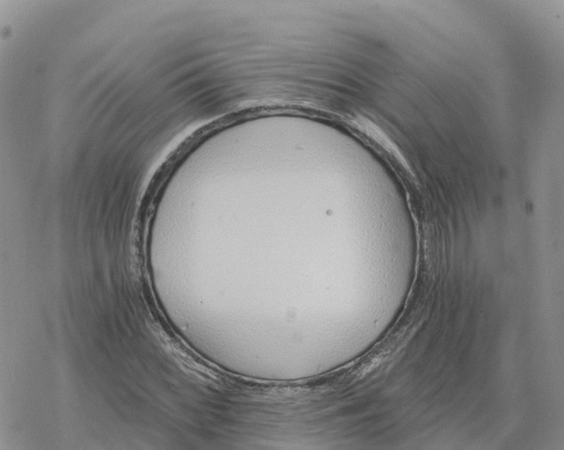 X0000078261068200611251323