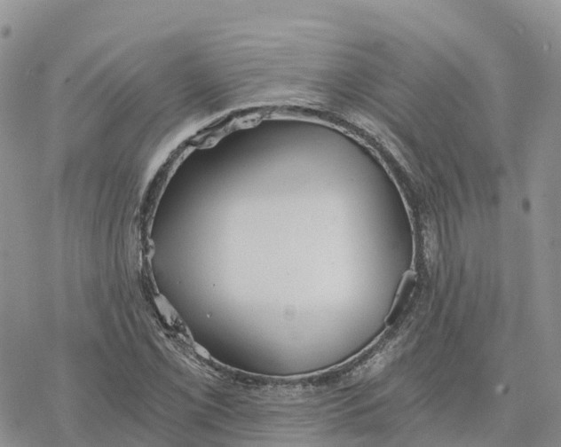 X0000078261069200611251323