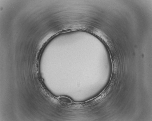 X0000078261071200611251323