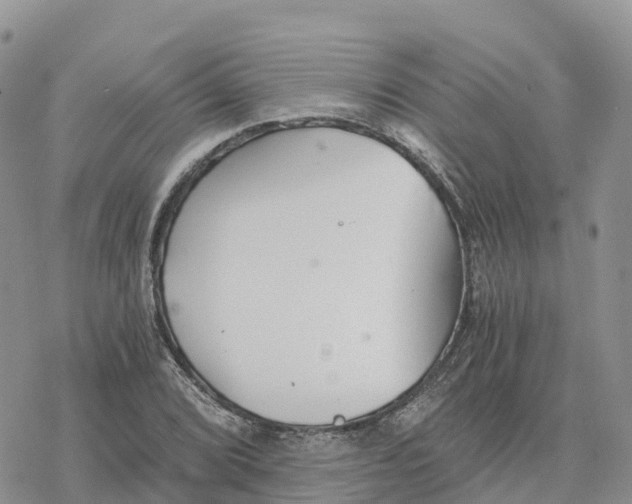 X0000078261072200611251323