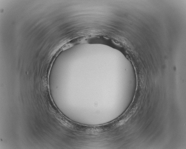 X0000078261073200611251323