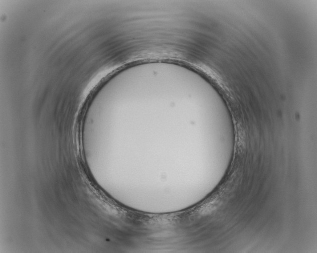 X0000078261078200611251323