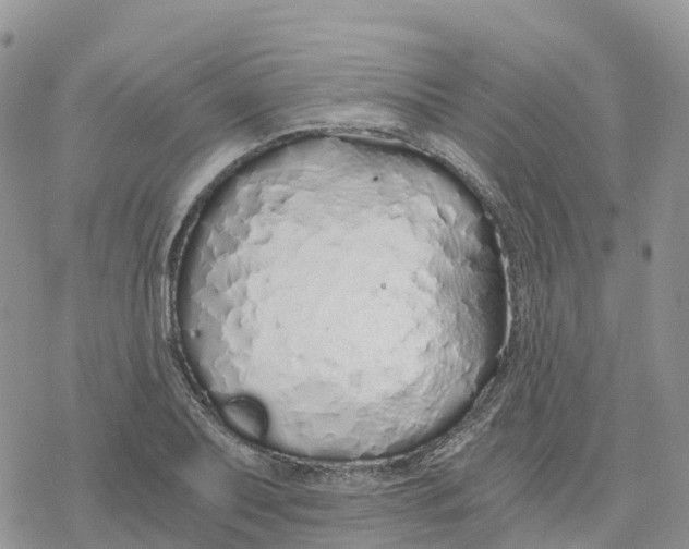 X0000078261079200611251323