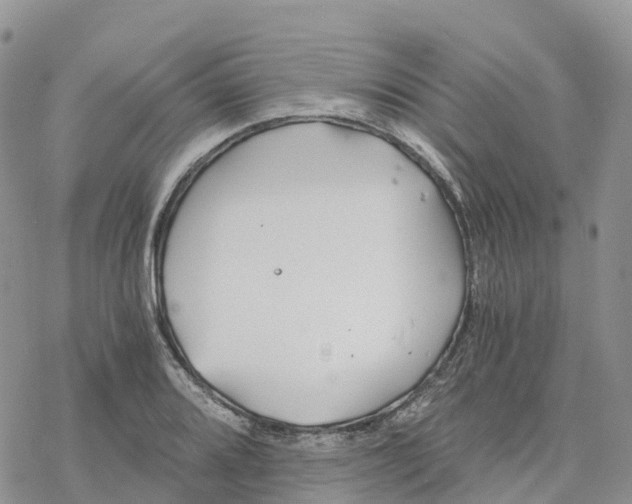 X0000078261080200611251323