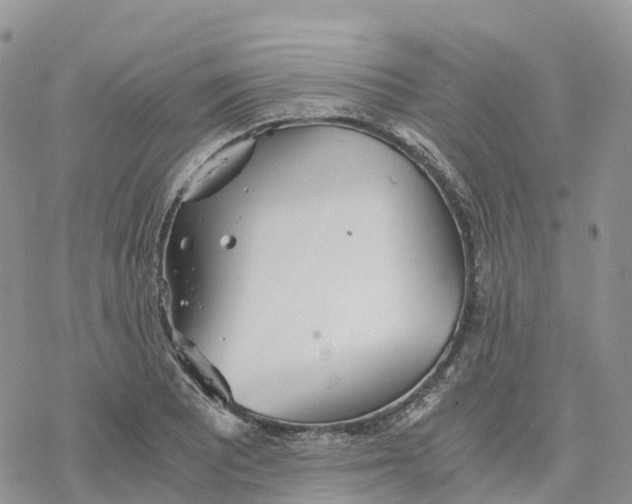 X0000078261081200611251323