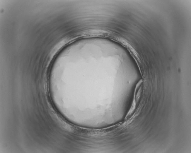 X0000078261083200611251322