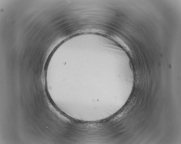 X0000078261084200611251322