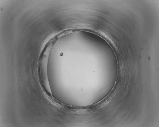 X0000078261085200611251322