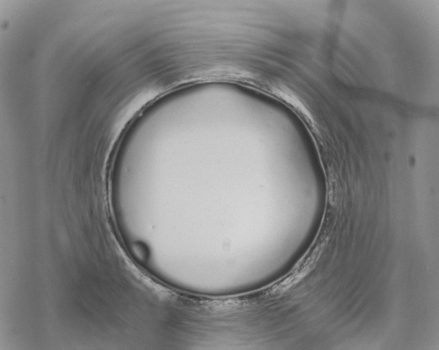 X0000078261087200611251322