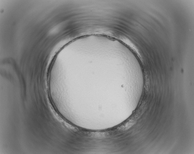 X0000078261088200611251322