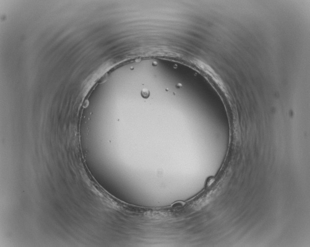 X0000078261089200611251322