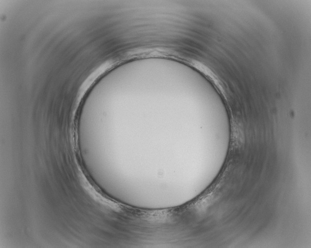 X0000078261090200611251322