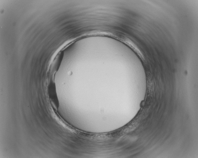 X0000078261092200611251322