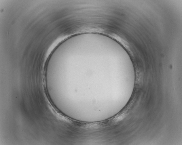 X0000078261094200611251322