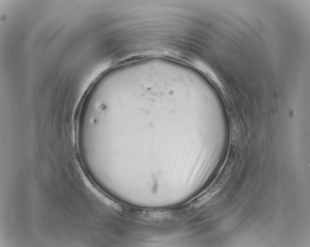 X0000078261095200611251322