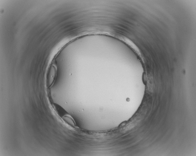 X0000078261096200611251322