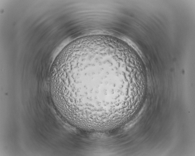 X0000078261097200611251322