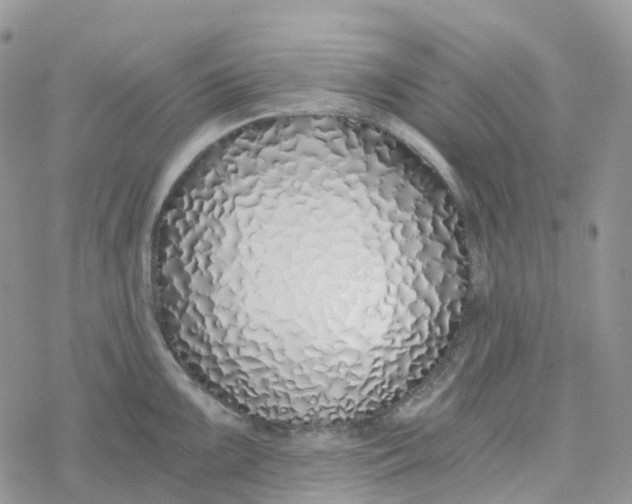 X0000078261099200611251322