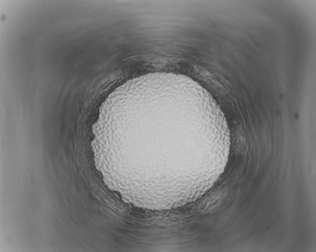 X0000078261105200611251321